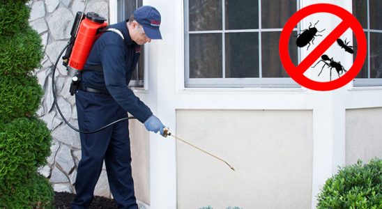 Gökçeada Bit İlaçlama böcek ilaçlama ve haşere kontrolü — ilaclama-tr.com